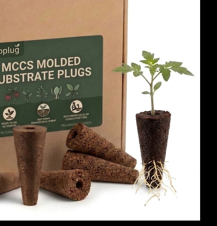 MCCS molded substrate plug with seedling and root system