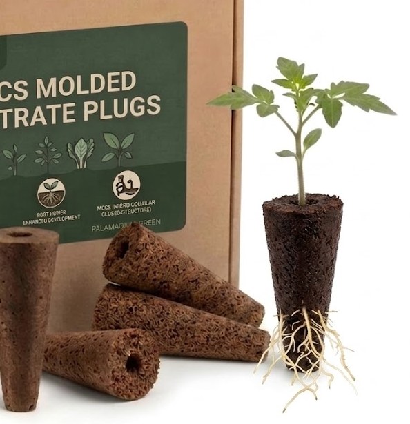 Commercial greenhouse seedlings growing in molded coir and peat propagation plugs